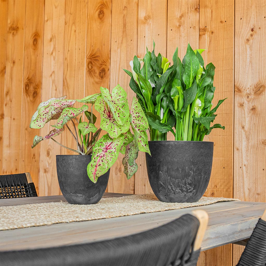 Bola Artstone Plant Pot - Black On Outdoor Dining Set
