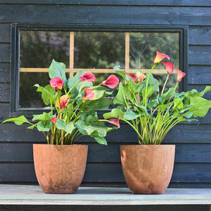 Bola Artstone Plant Pot - Oak & Outdoor Plants