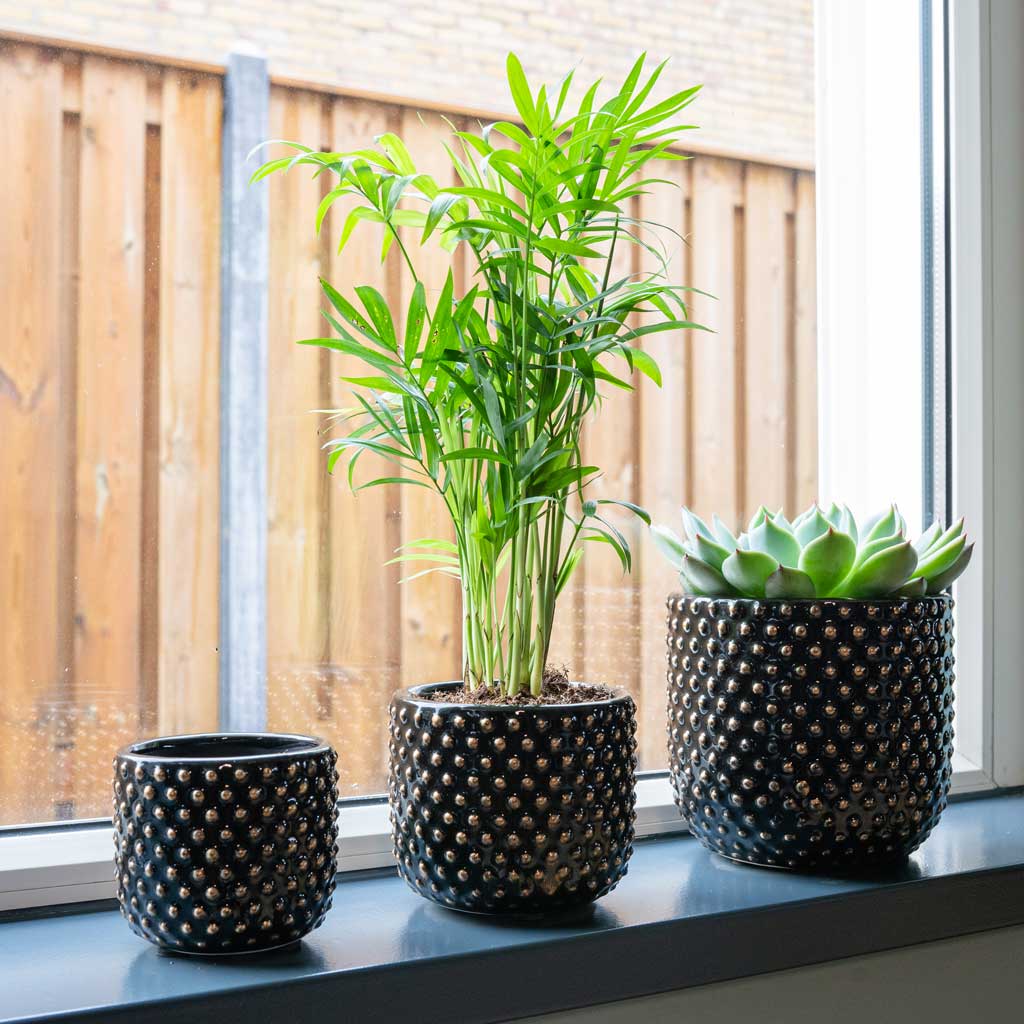 Bolino Plant Pots - Shiny Black