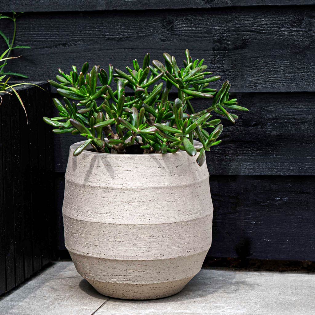 Bordo Balloon Planter - Sand & Jade Plant