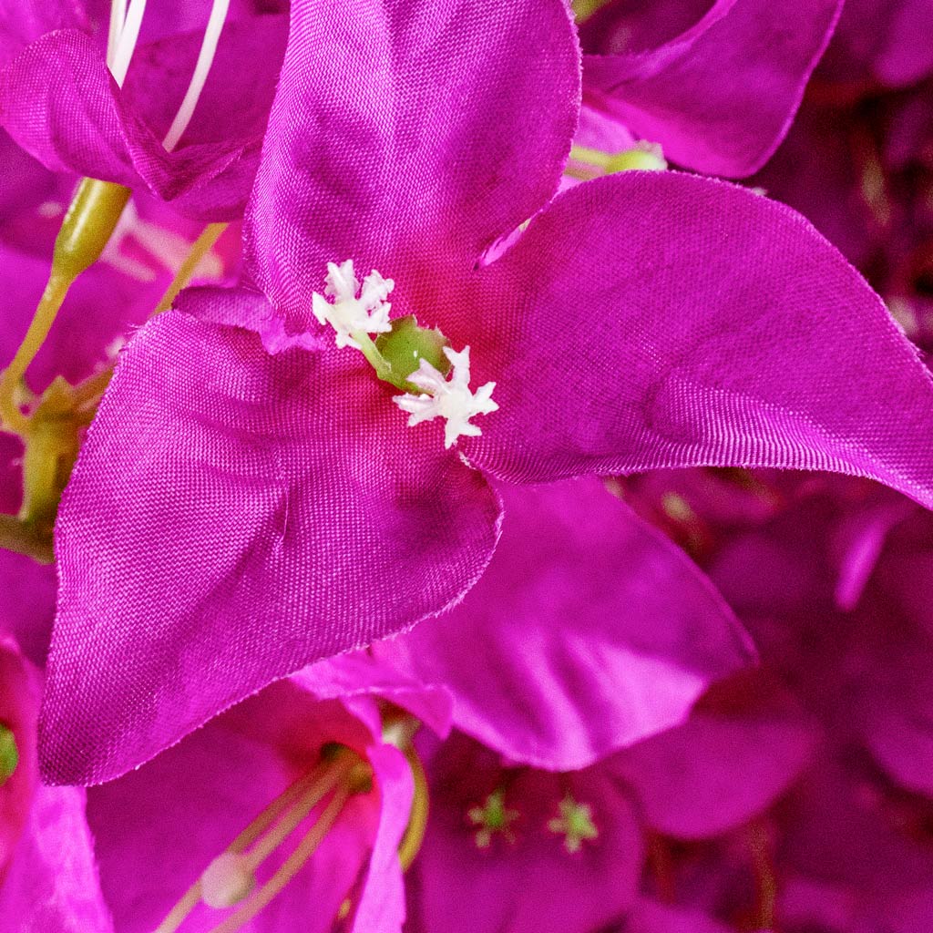 Bougainvillea Tree Purple Artificial Close Up Of Blossoms