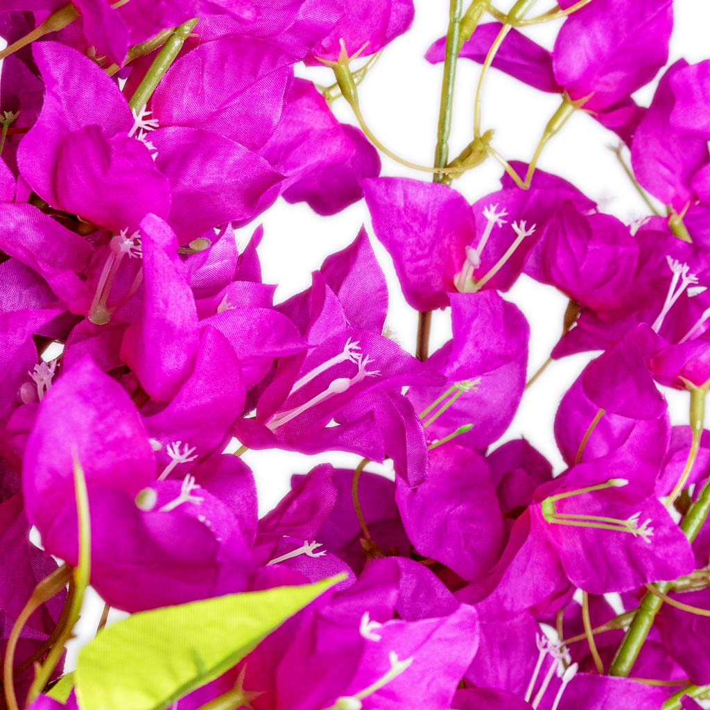 Bougainvillea Tree Purple Artificial Blossom Close Up 