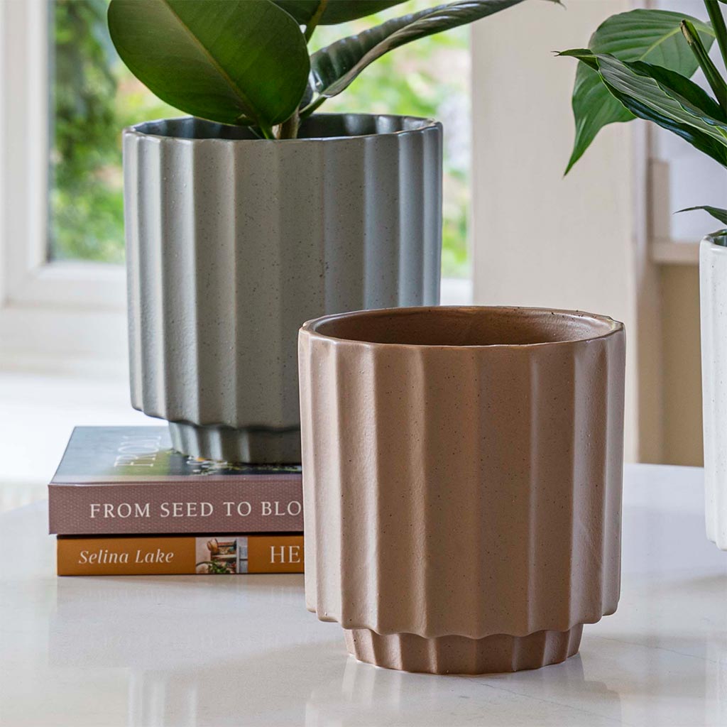 Bourton Scalloped Plant Pot - Clay & Sage