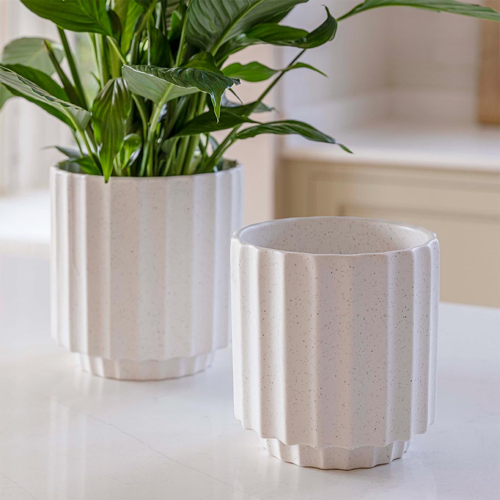 Bourton Scalloped Plant Pots - Ivory On Counter Top