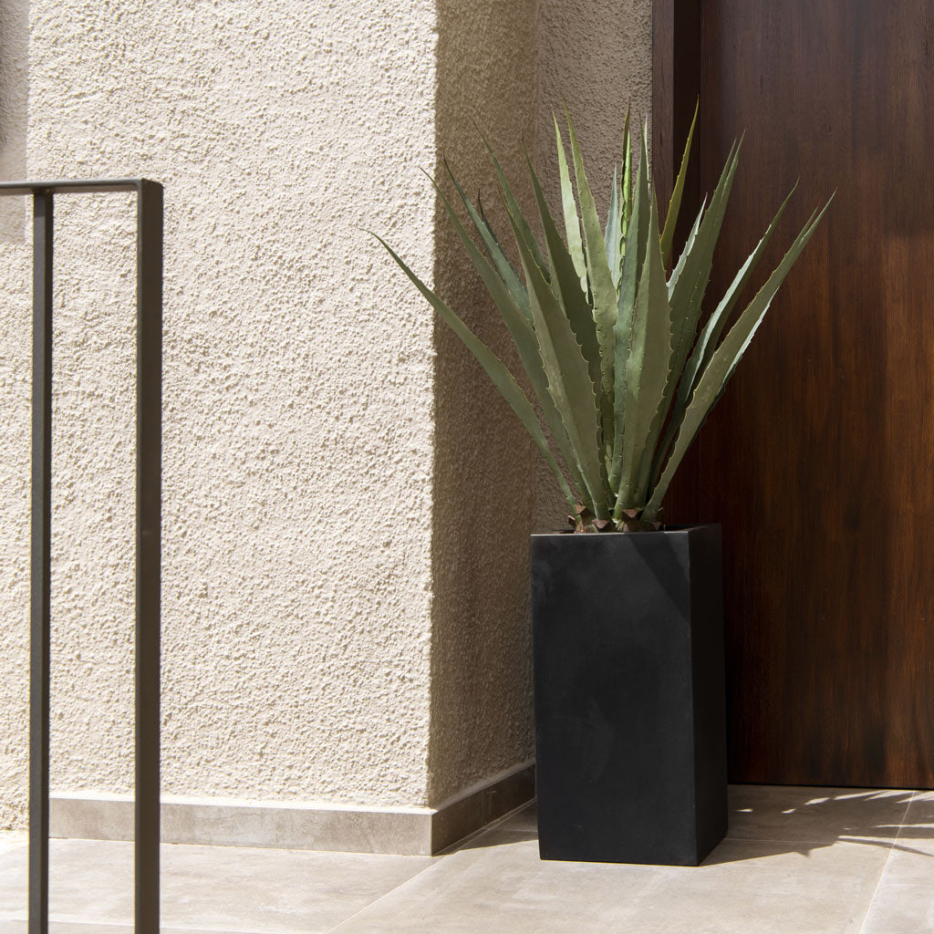Bouvy Natural Planter - Black & Plant