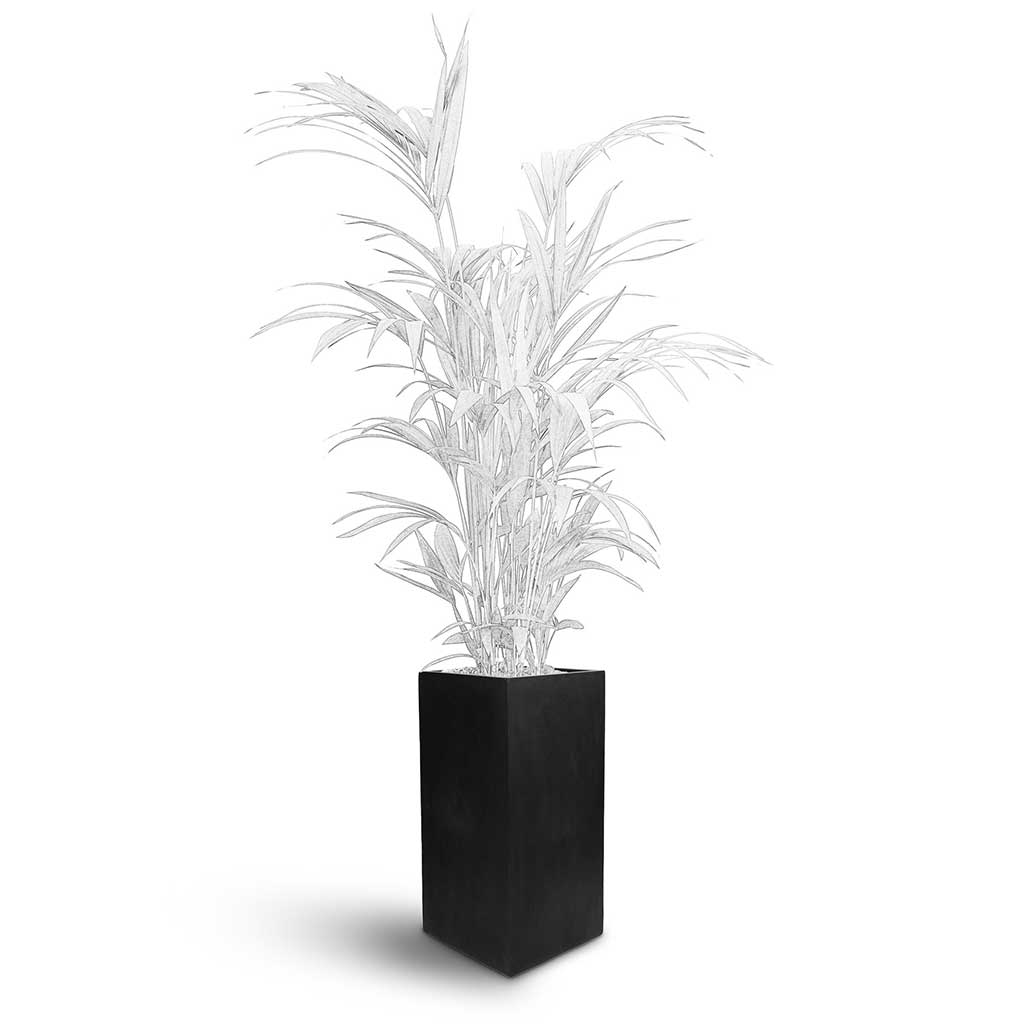 Bouvy Natural Planter - Large Plant Display