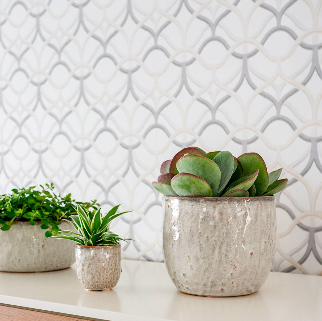 Spider Plant & Paddle Plant in Brian PlantPot Ivory
