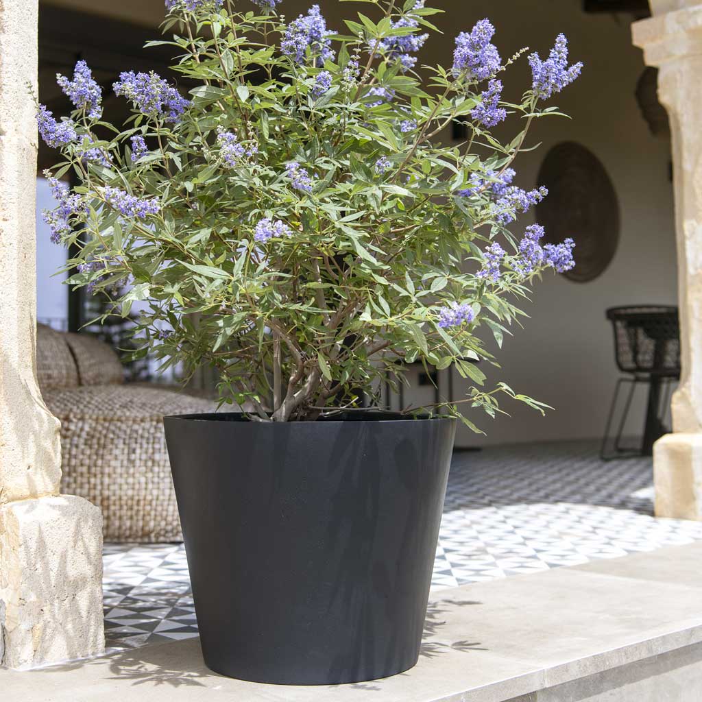 Bucket Natural Planter - Black On Steps