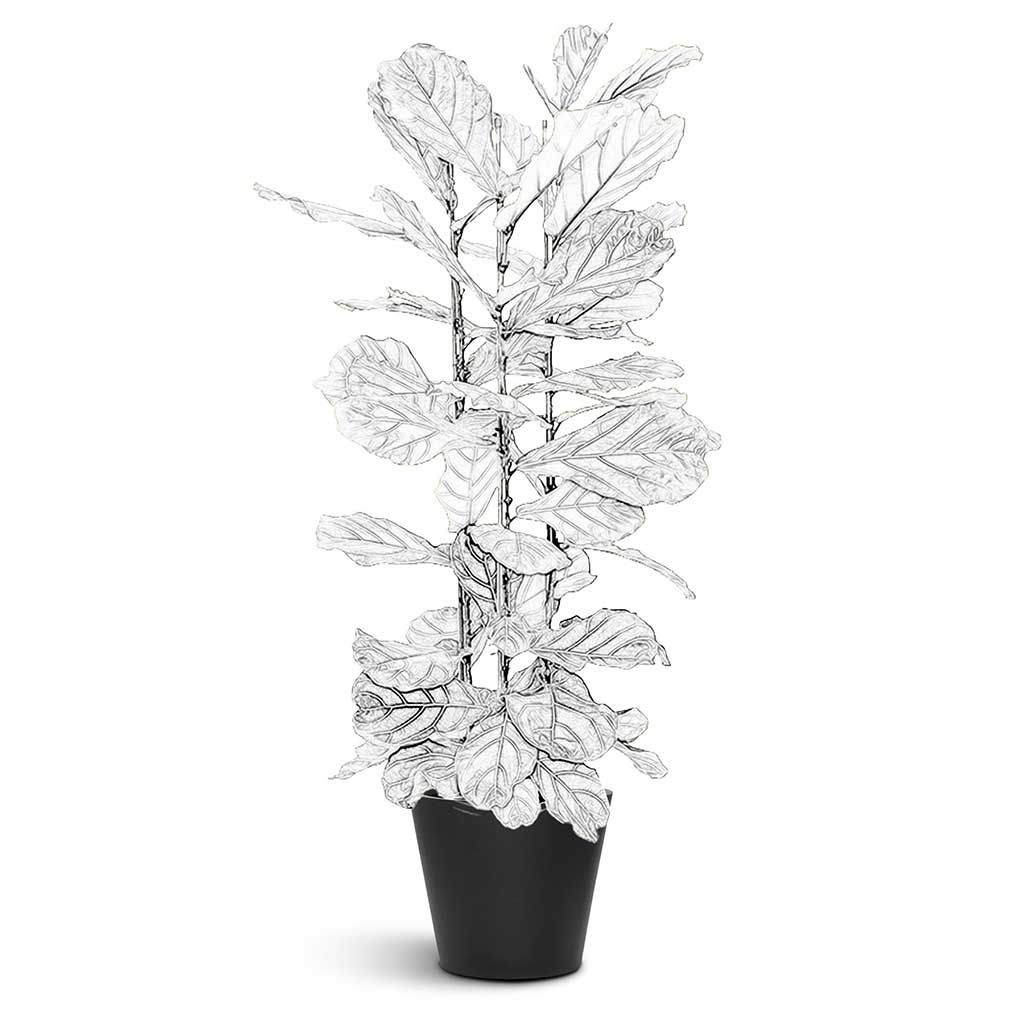 Bucket Natural Planter - XL Plant Display