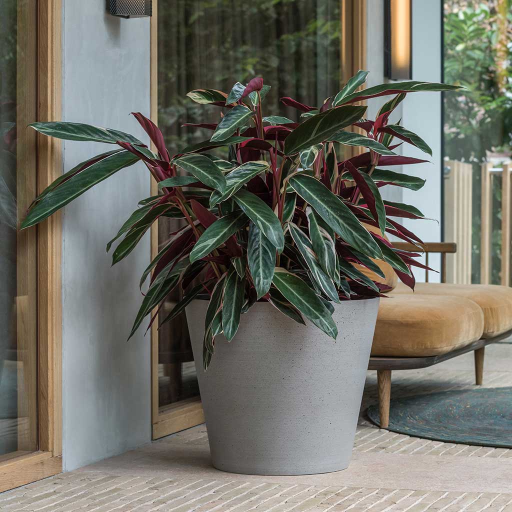 Bucket Refined Planter - Clouded Grey