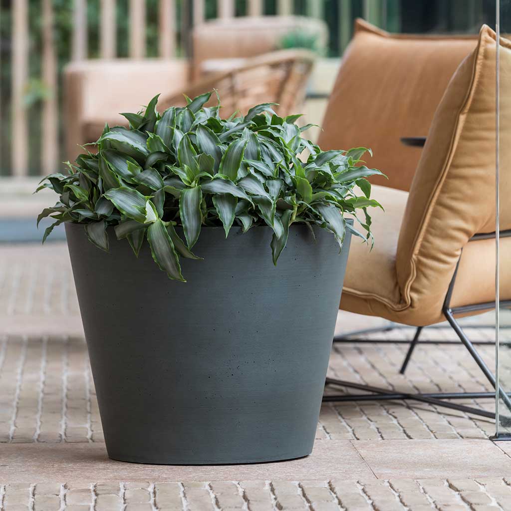 Bucket Refined Planter Pine Green Open Plan Planters