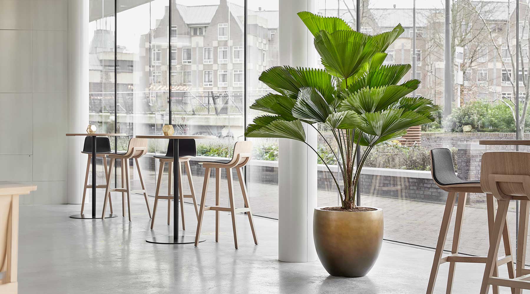 Plants & Planters For Business