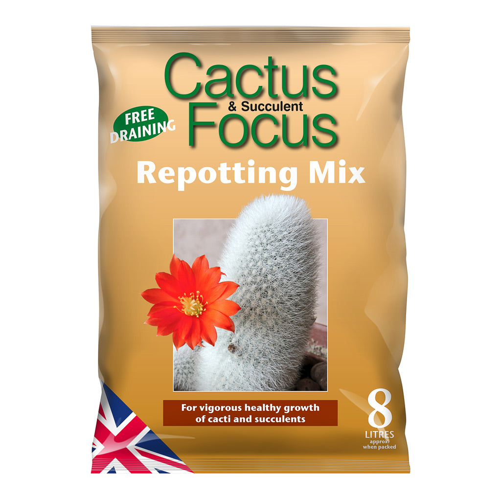 Cactus & Succulent Repotting Mix - 3 Litres