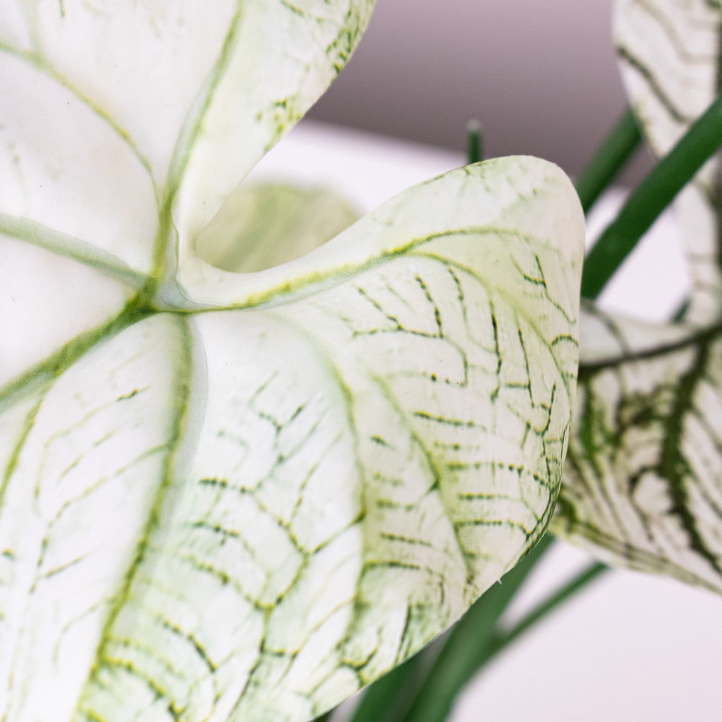Caladium Green White Potted Artificial Close up 2