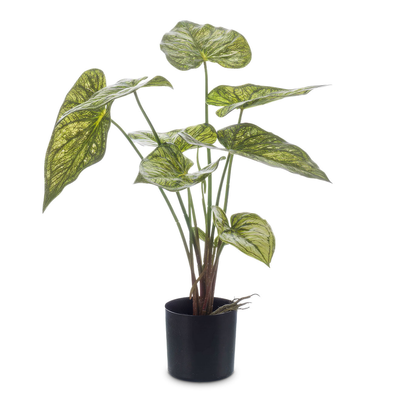 Caladium Green Yellow Potted Artificial 60cm House Plant In Abby Ridged Pot Cement 23x20cm