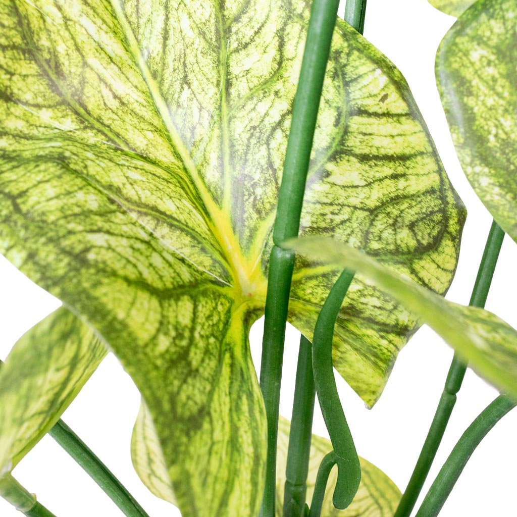 Caladium Green Yellow Potted Artificial Close up