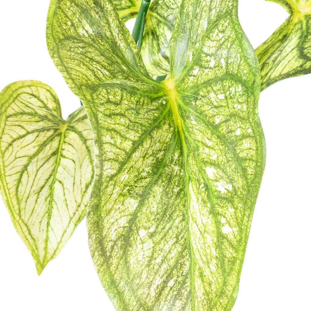 Caladium Green Yellow Potted Artificial Close up