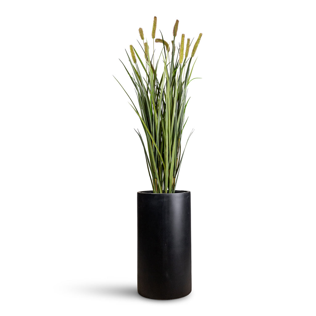 Cattails Grass Artificial - 120cm - _12-stems_ Solid Cylinder Planter Dark Grey - 30x55cm