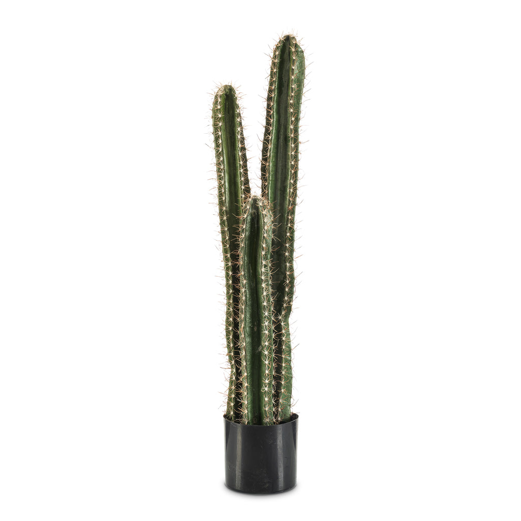 Cereus forbesii Cactus Potted Artificial 95cm (3 stems)