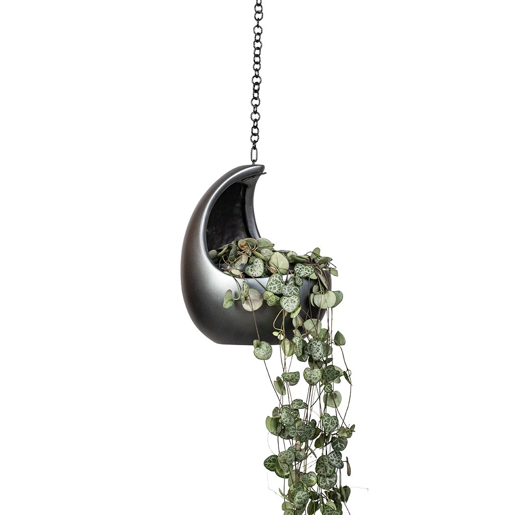 Gradient Hanging Cocoon - Matt Grey
