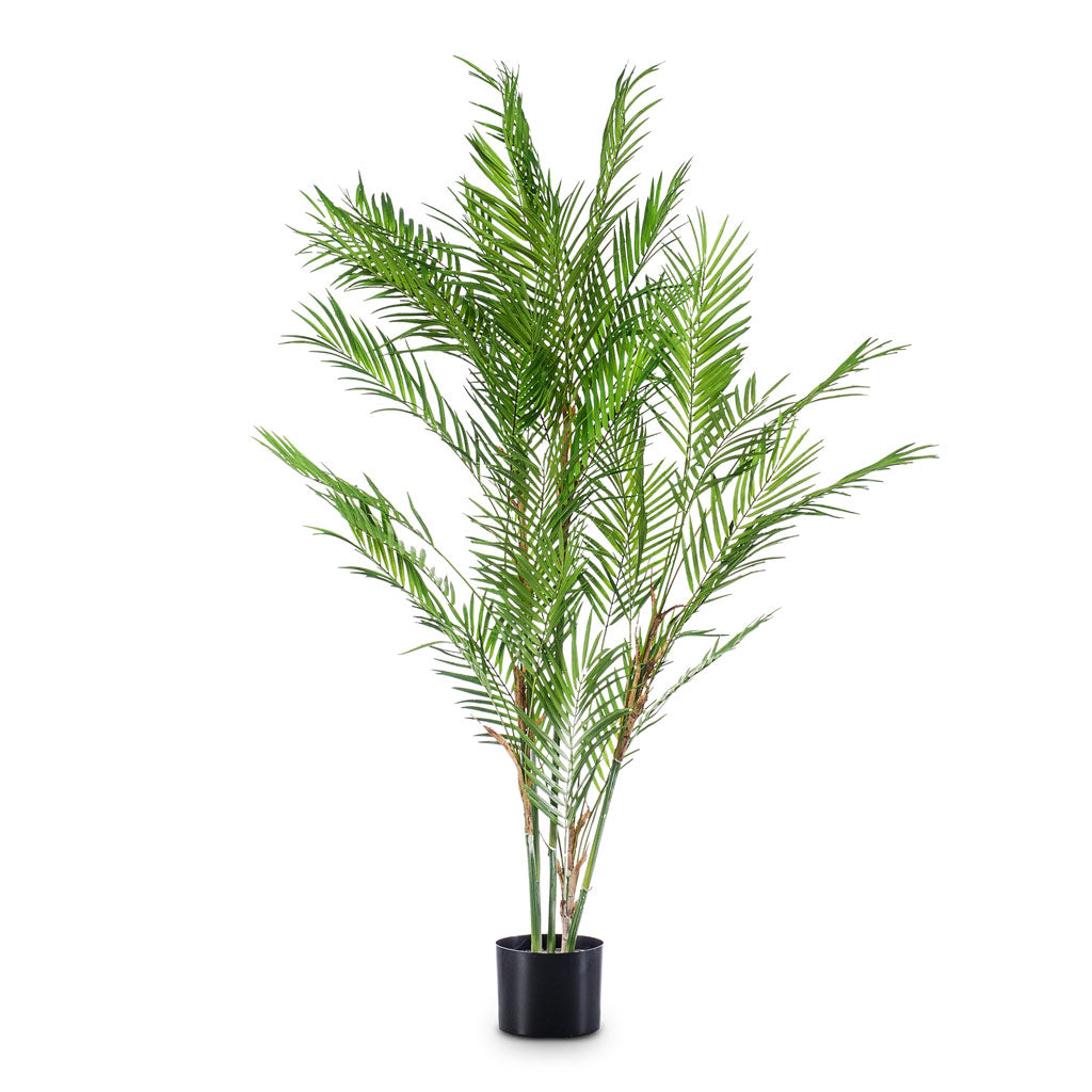 Chamaedorea Palm Artificial - 120cm