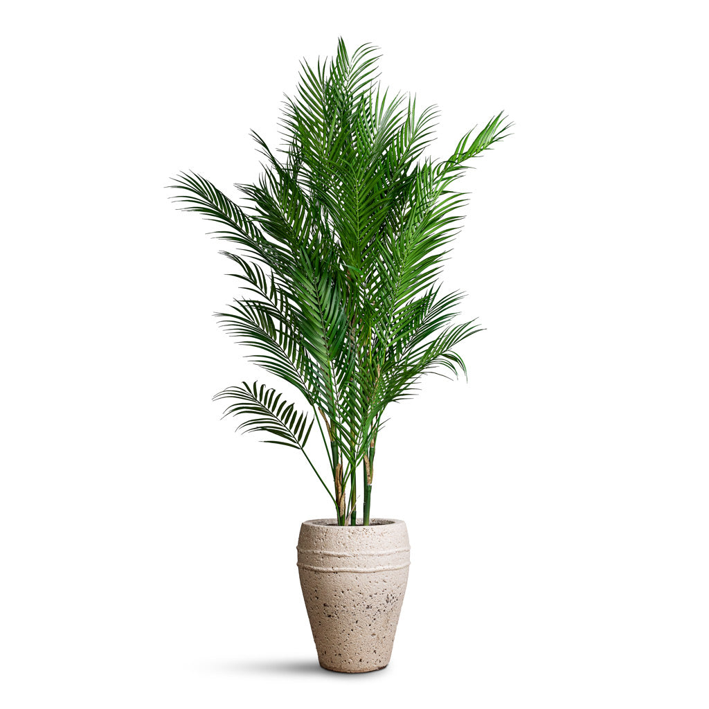 Chamaedorea Palm Parlour Palm Artificial - 120cm In Ares Mediterranean Planter Chalk White - 27x32cm