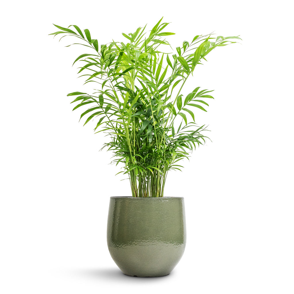Zembla Plant Pot - Green