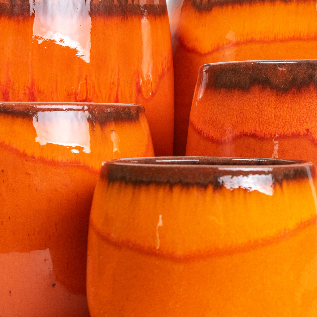 Group Close Up of Charlotte Orange Plant Pots 