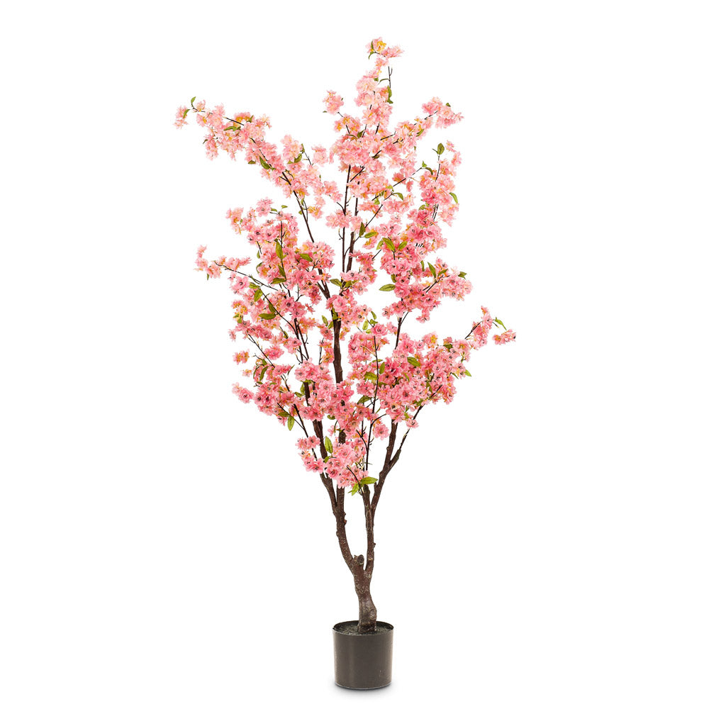 Cherry Blossom Tree Pink Artificial Close Up 