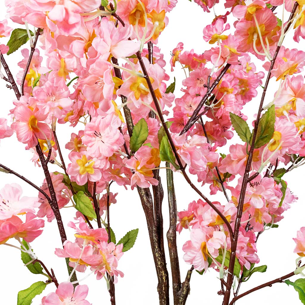 Cherry Blossom Tree Pink Artificial Close Up 