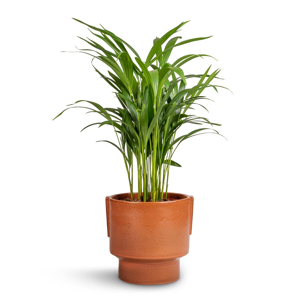 rust coloured plant pots Aries Handles Plant Pot - Bright Rust - Quality Plant Pots | Hortology