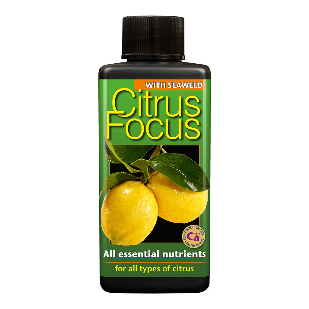 Citrus Focus - Plant Nutrition - 100ml