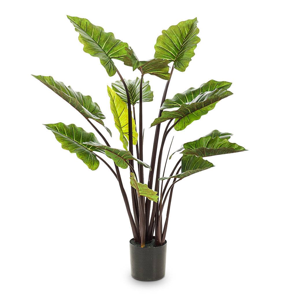 Colocasia Artificial - 130cm