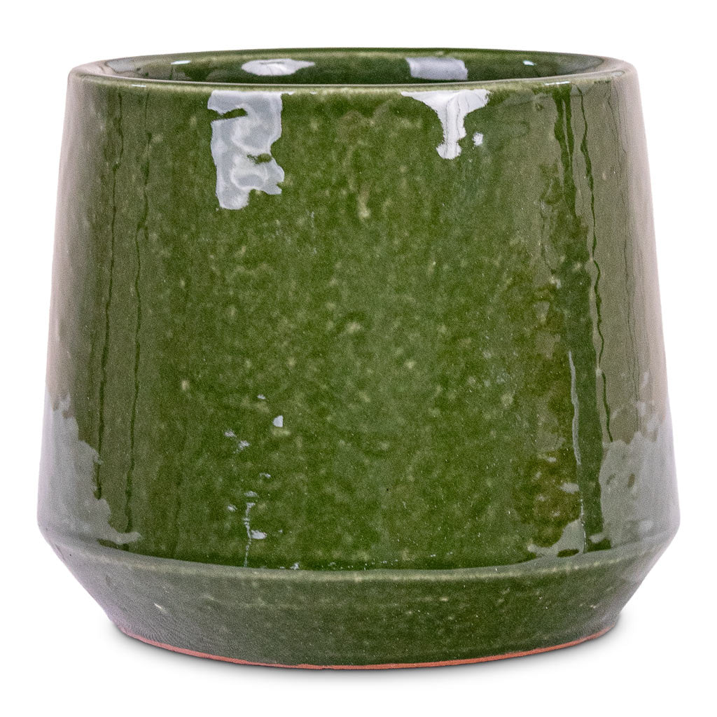 Common Pot Shiny Emerald 15x13cm