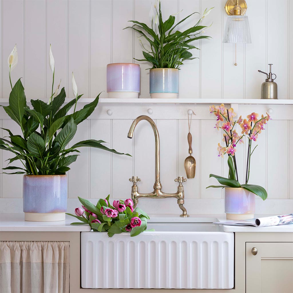 Copenhagen Plant Pot - Pink In Kitchen