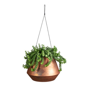 Crassula marneriana Hottentot - Jade Necklace & Soho Hanging Plant Pot - Aged Copper