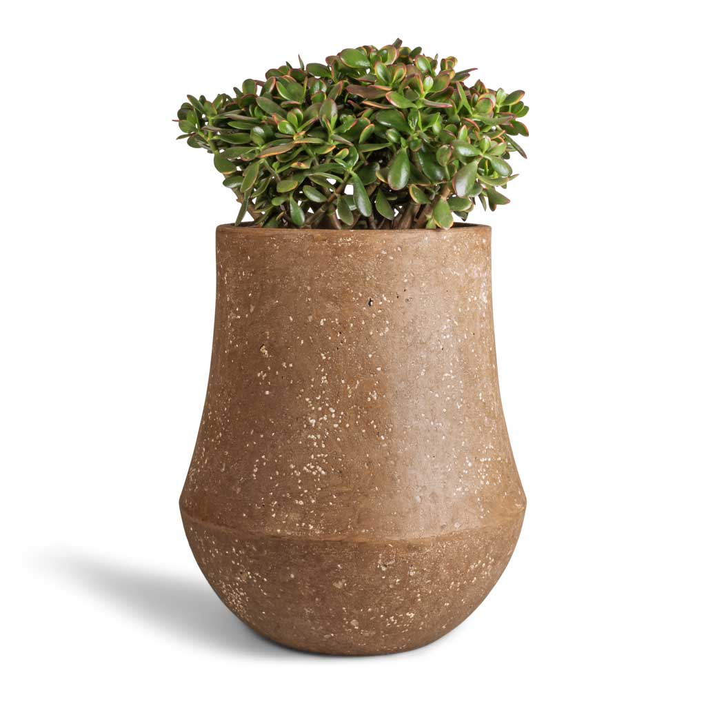 Polystone Coated Darcy Planter - Rock - Quality Planters