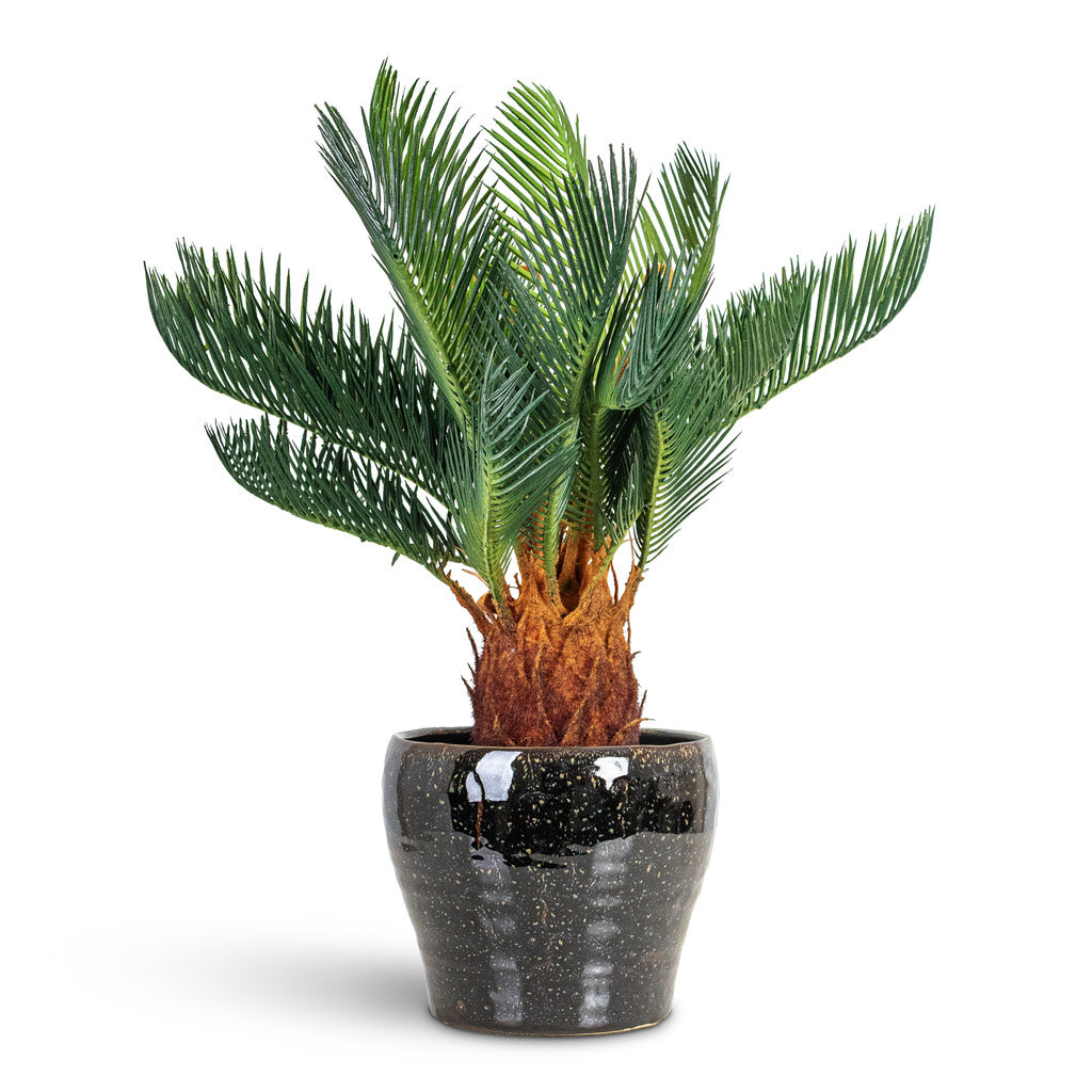 Cycas revoluta Palm Artificial 45cm House Plant In Nia Pot Midnight 18x15cm