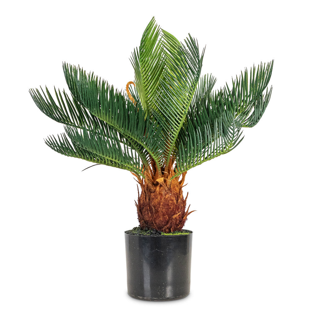 Cycas revoluta Palm Artificial 45cm
