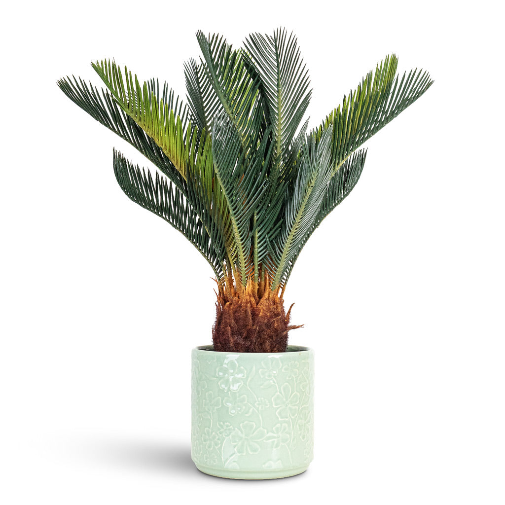 Cycas revoluta Palm Artificial 55cm House Plant In Betsy Pot Floral Mint 17.5x16.5cm