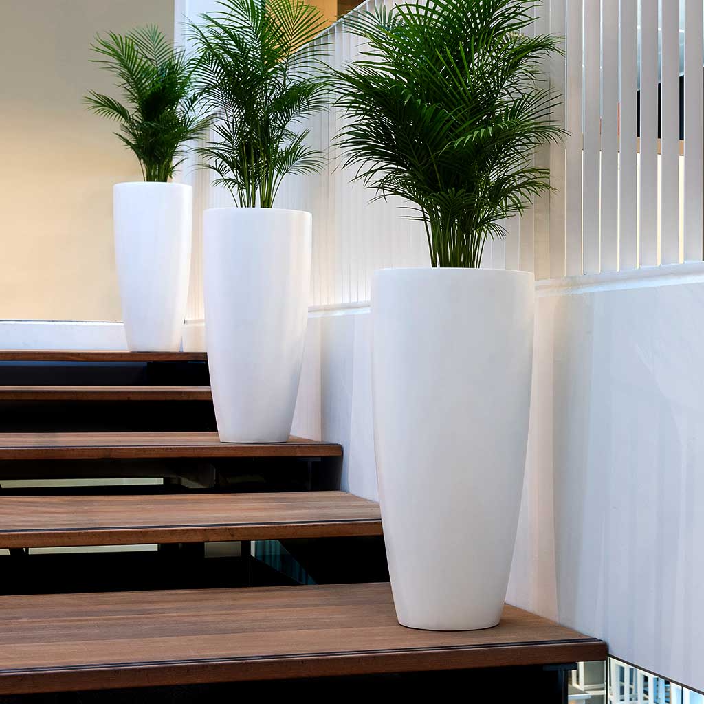 tall indoor plant pots Dax Essentials Tall Planter - Matt White Planter | Hortology