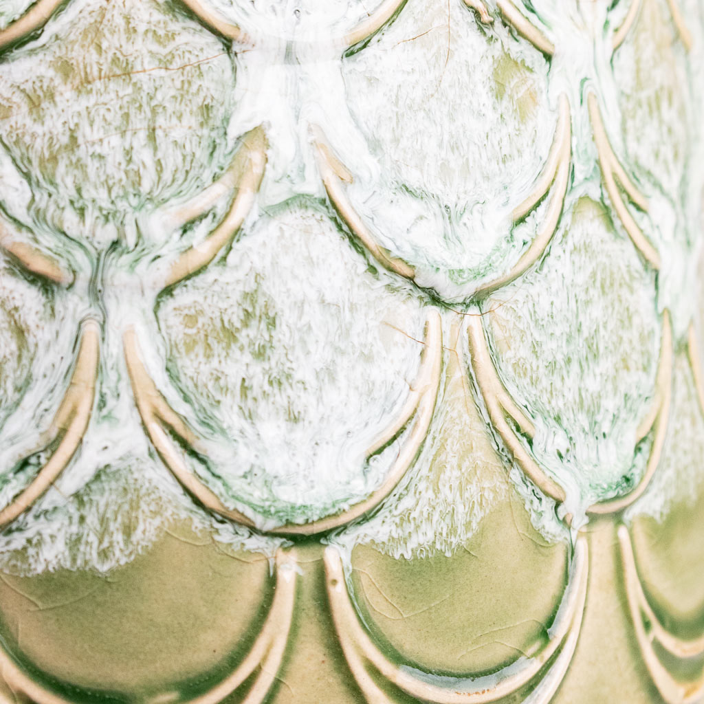 Debby Pot Thyme Close Up