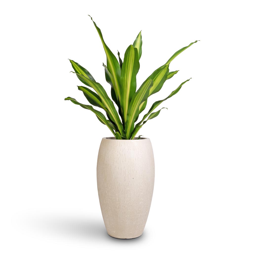 Raindrop Tall Balloon Planter - Stone 37cm