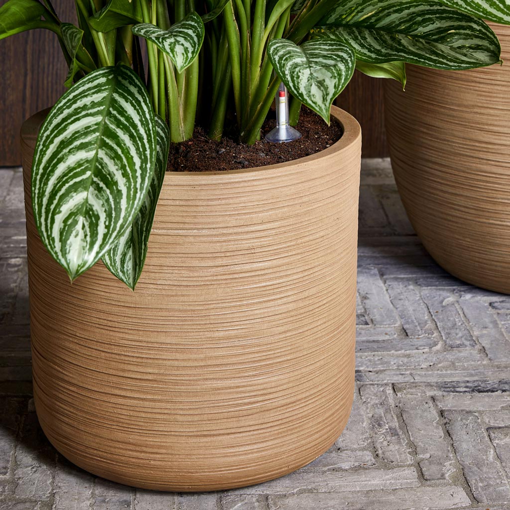 Dune Cylinder Planter - Almond & Plants