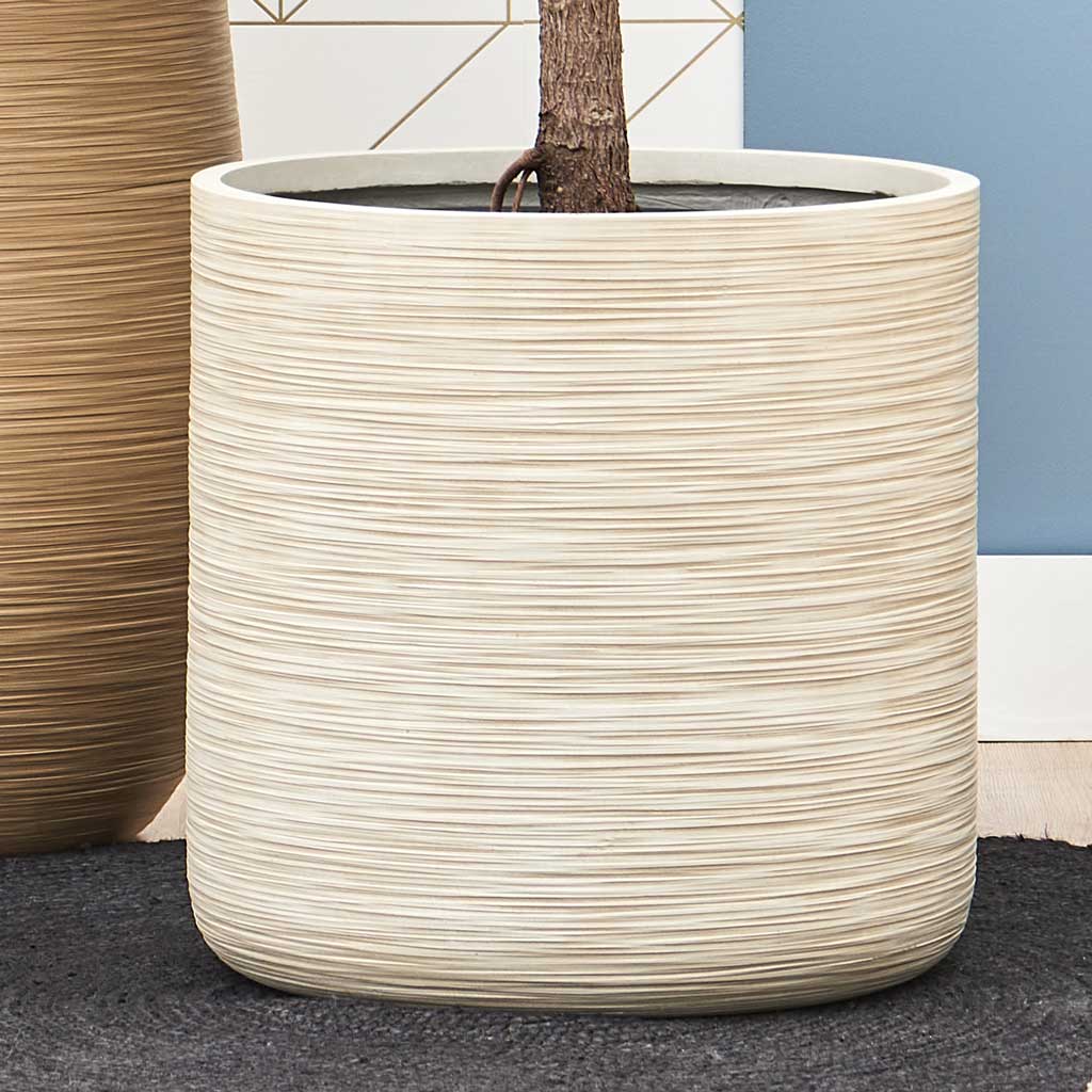 Dune Cylinder Planter - Oat & Indoor Tree