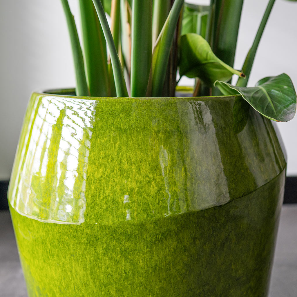 hortology plant pots Eddy Plant Vase - Pear - Quality Plant Ceramic Vases