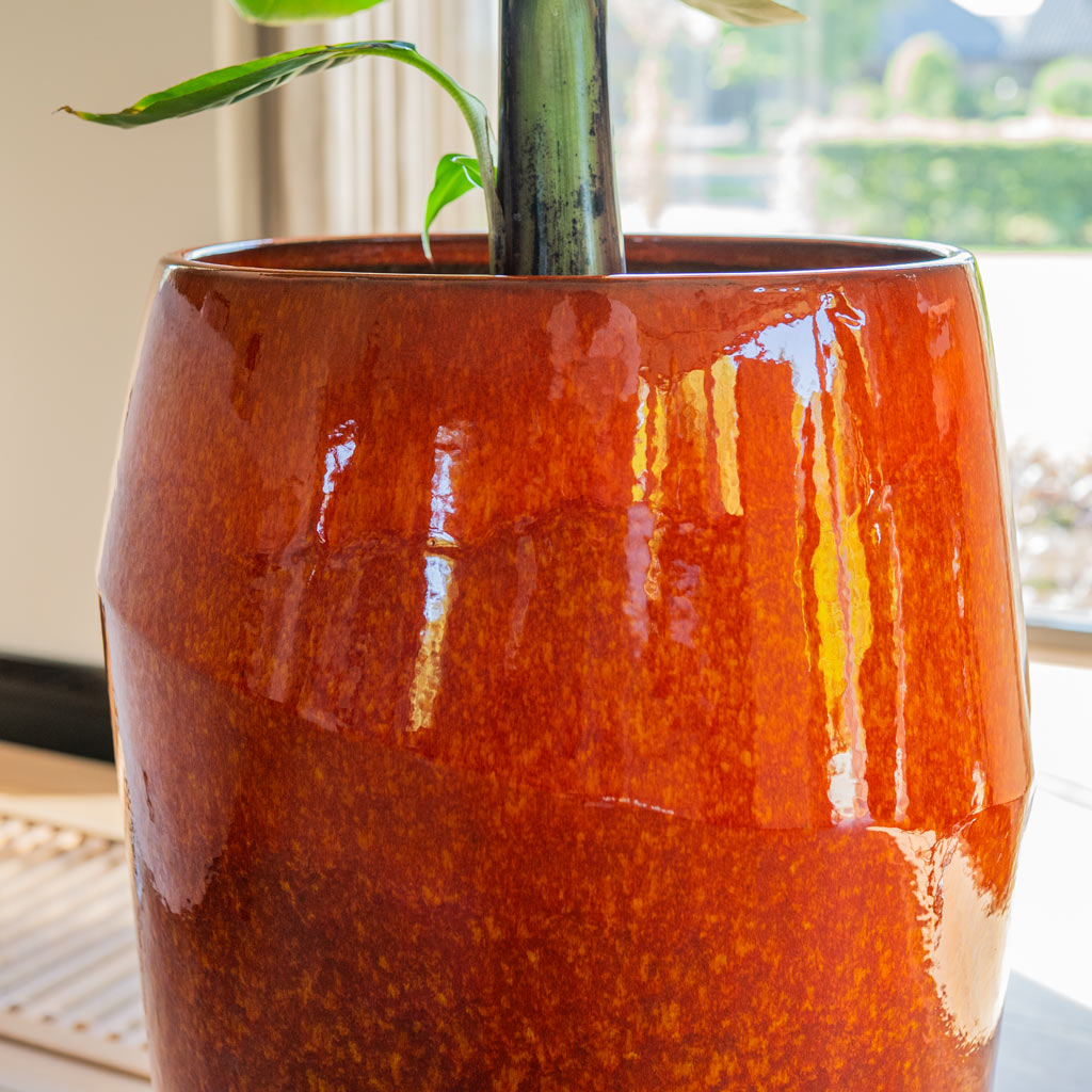 Eddy Pot Orange Lifestyle Close up