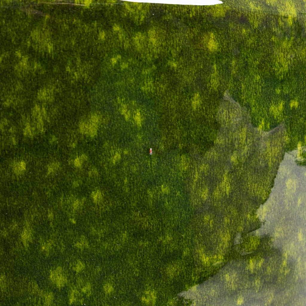 Eddy Pot Pear Close Up