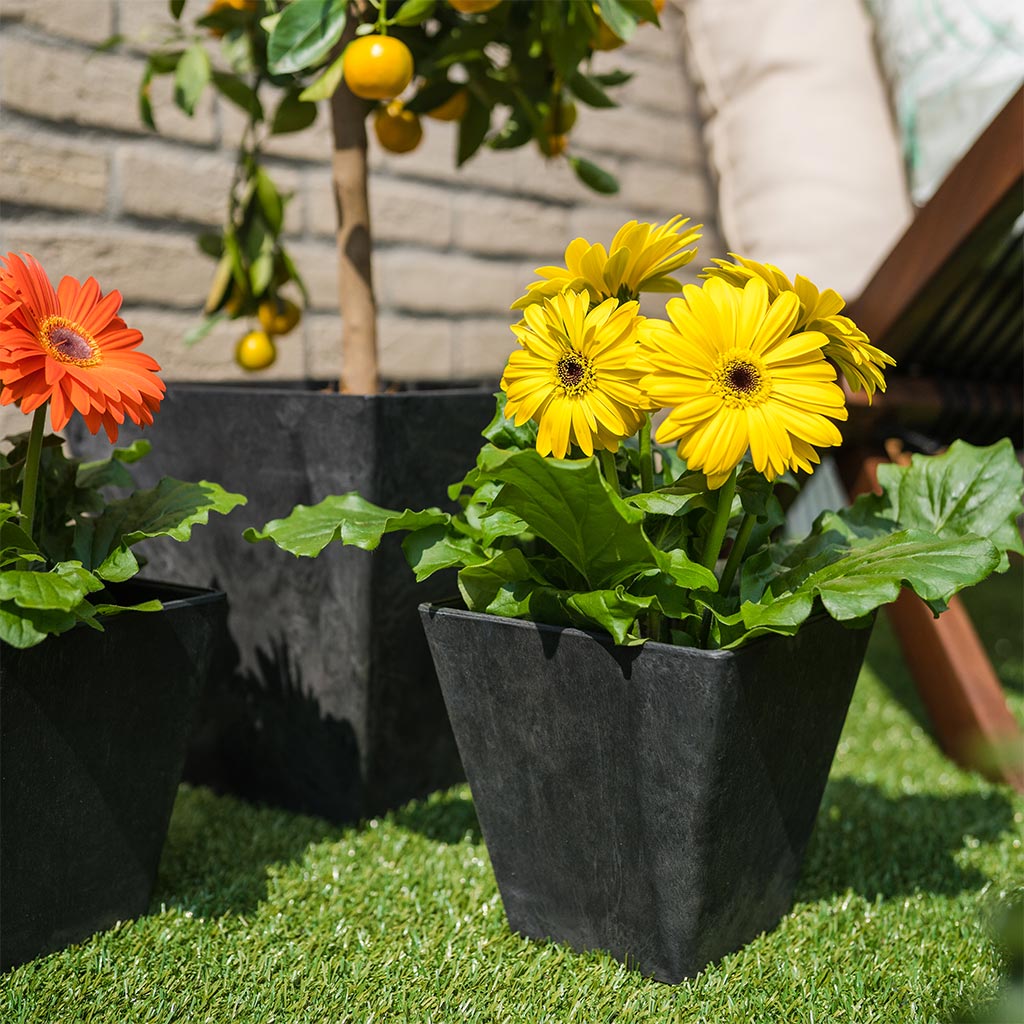 Ella Artstone Plant Pot - Black & Outdoor Plants