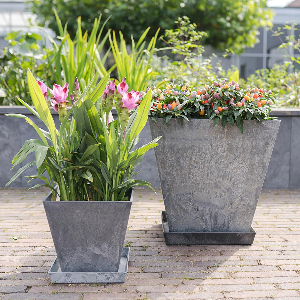 Ella Artstone Plant Pot - Grey & Outdoor Plants